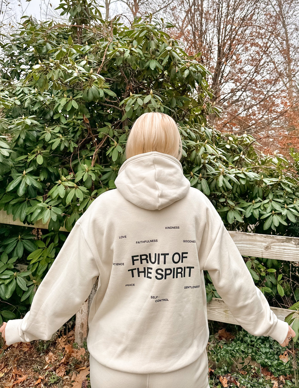 Fruit-of-the-Spirit-Unisex-Hoodie_08.jpg